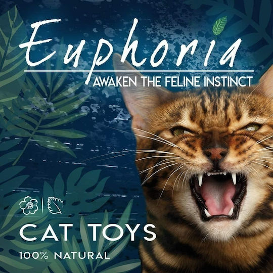 Croci Cat Euphoria Catnip Σκόνη για Ενίσχυση Εγκεφαλικής Λειτουργίας 25gr