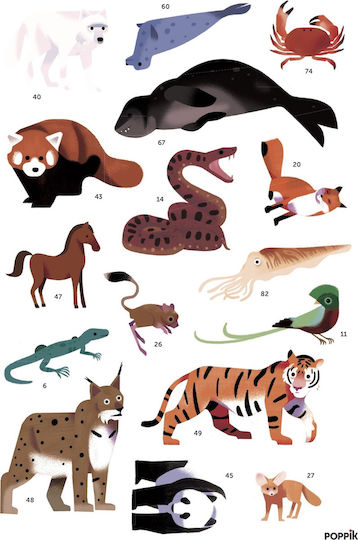 Poppik Αυτοκόλλητα Discovery Animals of the World