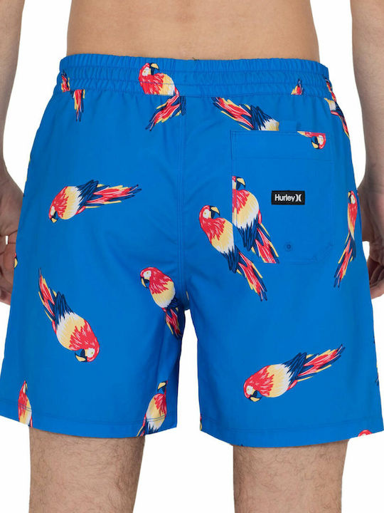 Windansea Volley 17 Men's Swimwear Shorts Blue with Prints
