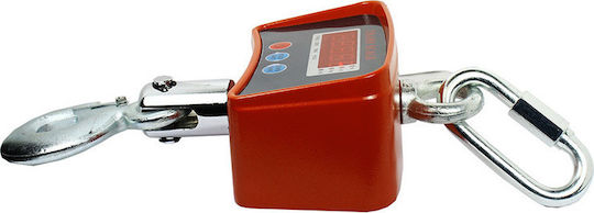 Factory Electronic Professional Hanging Scale with Weighing Capacity of 500kg and Division 200gr