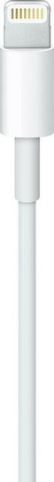 Apple USB-A to Lightning Cable Λευκό 2m (MD819ZM/A)