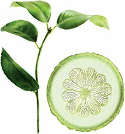 Klorane Citrus Purifying Sampon De Par Curățare Profundă Și Strălucire Pentru Păr Gras 200ml