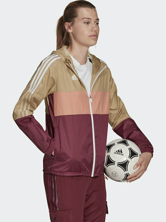 Tiro Winterized
