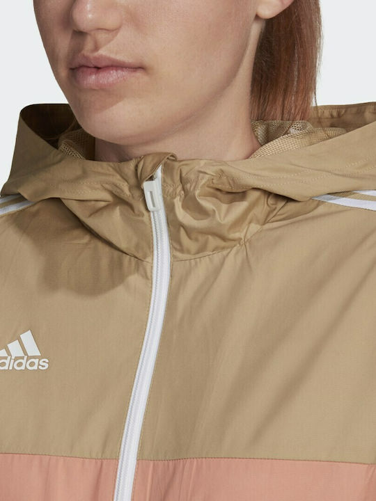 Tiro Winterized