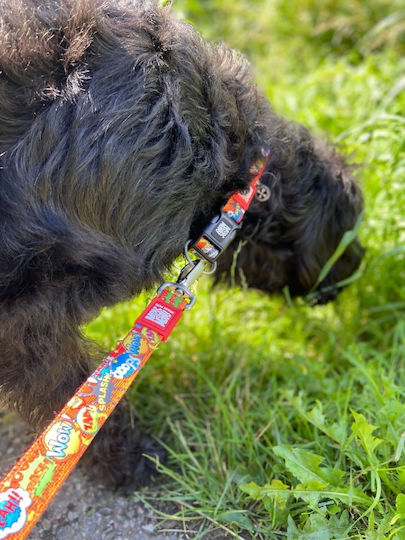 Max & Molly Dog Leash/Lead Strap Heroes Small 1.20m up to 110kg
