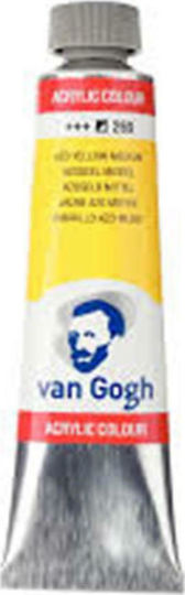 Royal Talens Van Gogh Acrylic Acrylic Paint Set Azo Yellow Medium 269 40ml 1pcs