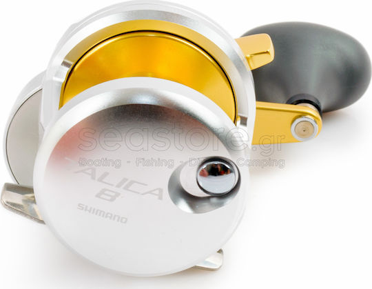 Shimano Talica 8 Fishing Reel for Inchiku Jigging Slow Jigging