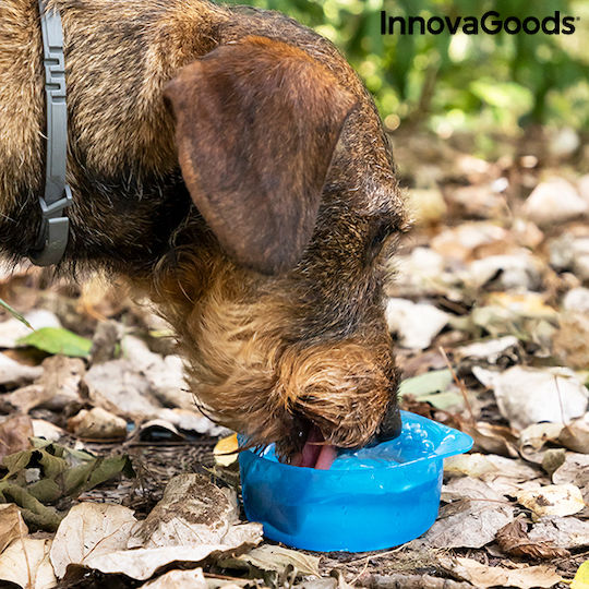 InnovaGoods Pettap Bottle Silicone Water for Dog & Cat 300ml in Light Blue Color