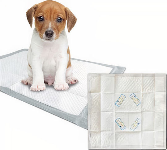 M-Pets Uritest Επιδαπέδια Πάνα Σκύλου 60x60cm 50τμχ