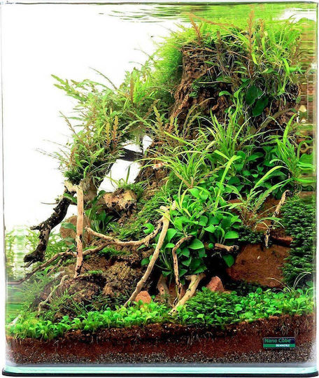 Dennerle Nano Cube Fish Aquarium Capacity 20lt with 25x25x30cm