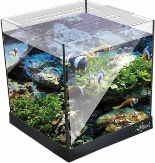 Haquoss Nanokubus Ενυδρείο Ψαριών Χωρητικότητας 28lt με Φωτισμό, Φίλτρο, 35x30x30εκ.