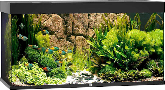 Juwel Rio Acvariu Cu Memorie Internă 350lt Include Iluminat Încălzitor Circulator Filtru 121x51x66cm Negru