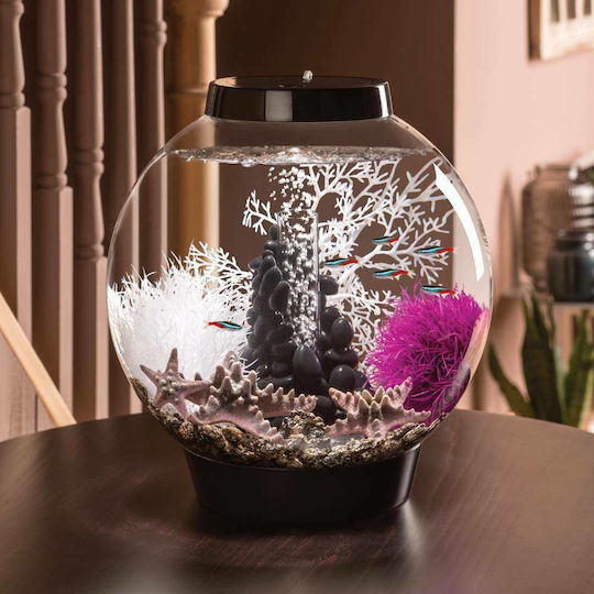 Oase biOrb Classic 30 MCR Led Ενυδρείο Ψαριών Χωρητικότητας 30lt με Φωτισμό 40x42x42εκ. Λευκό