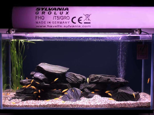 Sylvania Grolux T5 Lamp for Aquarium Lighting with Pink Light 35W