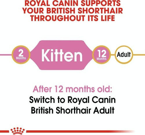 Royal Canin Kitten British Shorthair Hrană Uscată pentru Pisici Tinere cu Tract Gastrointestinal Sensibil cu Păsări de curte 2kg