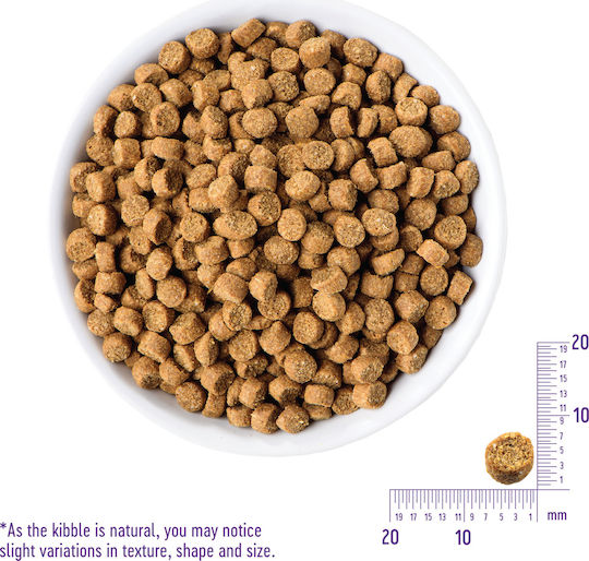 Wellness Core Grain Free Sterilised Original Dry Food Grain-Free for Adult Sterilized Cats with Chicken 4kg