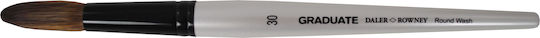 Daler Rowney Graduate Synthetic Round Wash Round Paint Brush No30