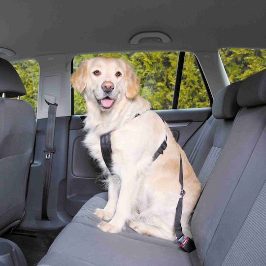 Trixie Seatbelt Car for Dog Medium 50-70cm Black