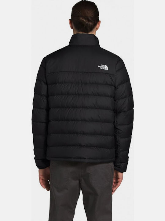 The North Face The North Face
