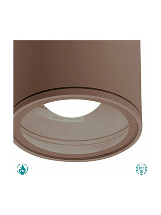 Gea Luce Amon Wasserdicht Spot Deckenleuchte für den Außenbereich in Braun Farbe GES1002