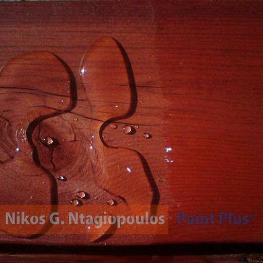ER-LAC Wood Stain Пропитка 1020 Безцветен Сатен 750мл