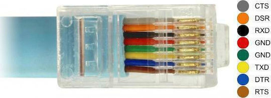 DeLock Καλώδιο RJ45 male σε RS232 9-pin female 1m