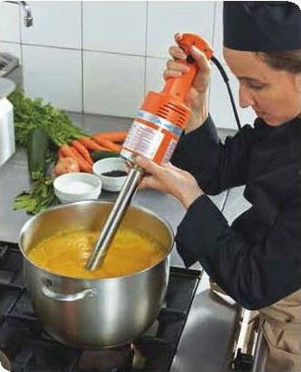 Dynamic Master MX 410 Gewerblicher Stabmixer mit Achse 410mm und Leistung 600W