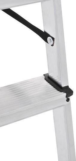 Palbest Hobby Ladder Aluminum with 7+1 Steps 166cm
