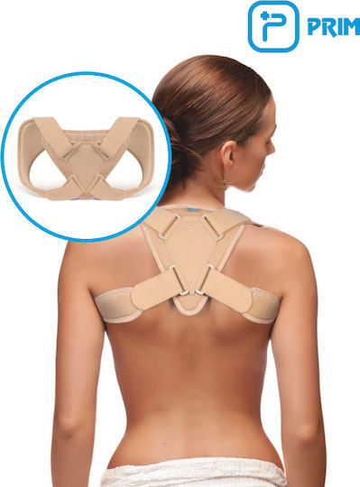 Prim Clavi+ Immobilization splint for clavicle Beige Clavicle Splint Beige