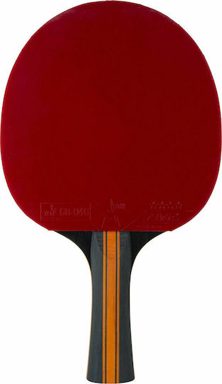 Stiga Vision Carbon 4-star Ping Pong Racket for Competition Level