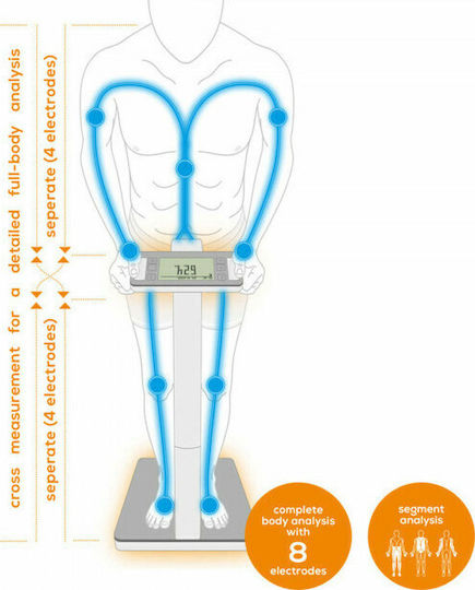 Beurer Scale BF 1000 Super Precision