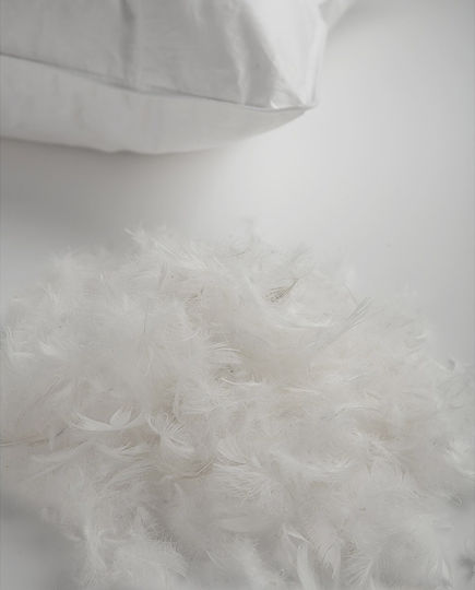 Vesta Home Royal Feathered Bed Pillow 60x80cm