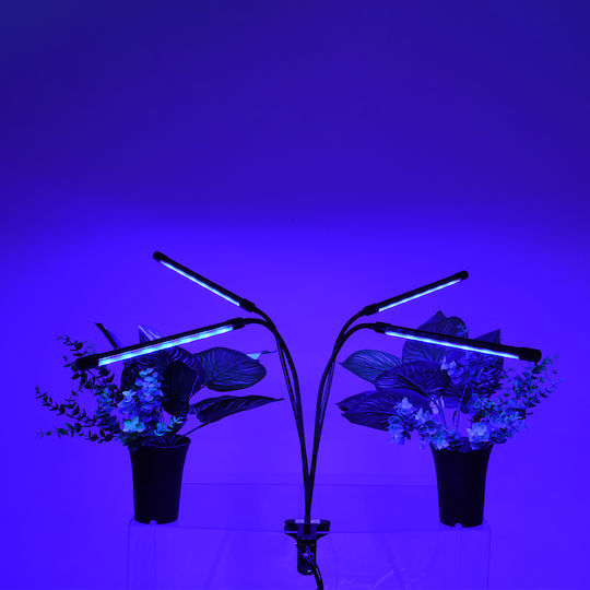 GloboStar Desk Grow Light with LED and Power 80W L100xW100cm.
