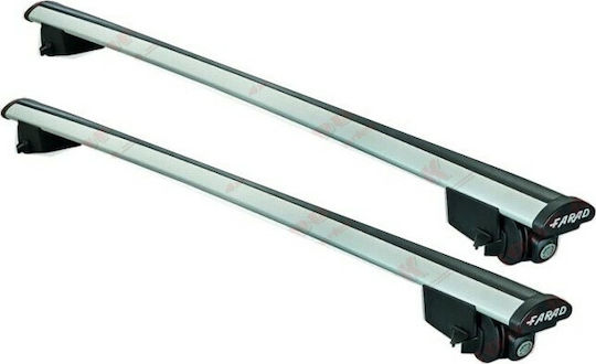 Farad BM 055 (with Roof Rack Legs and Lock) Silver