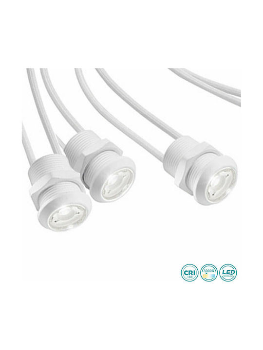 Gea Luce Altair Rotund Metalic Spot Încorporat cu LED Integrat și Lumină Alb Cald Alb 2x2cm. 5buc