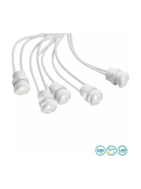 Gea Luce Altair Rotund Metalic Spot Încorporat cu LED Integrat și Lumină Alb Cald Alb 2x2cm. 5buc
