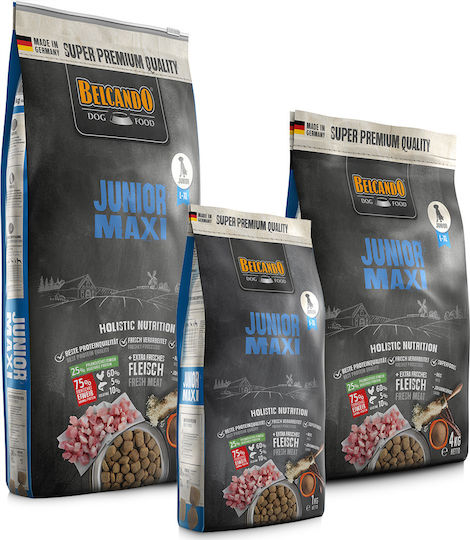 Junior Maxi 1kg Dry Food Diet, Grain-Free for Large Breed Puppies with Chicken and Fish
