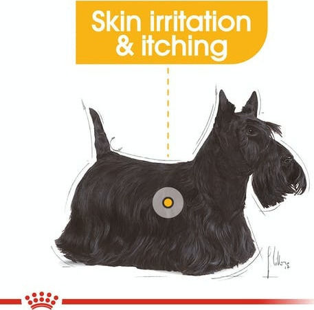 Royal Canin Dermacomfort Mini 8kg Dry Food for Adult Small Breed Dogs with Poultry and Rice