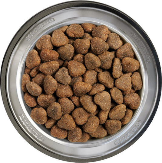 Belcando Adult GF Poultry 4kg Ξηρά Τροφή χωρίς Σιτηρά για Ενήλικους Σκύλους Μεσαίων & Μεγαλόσωμων Φυλών με Πουλερικά