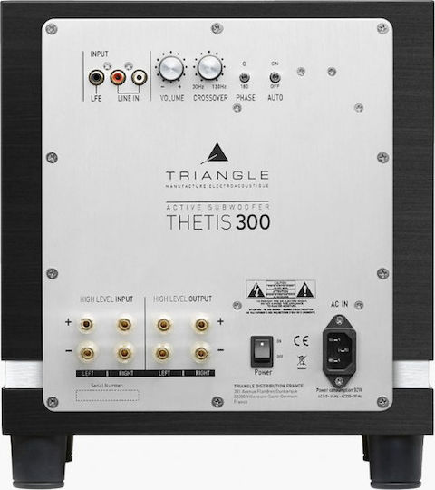 Triangle Thetis 300 Αυτοενισχυόμενο Subwoofer με Ηχείο 8.3" 150W Μαύρο
