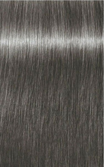 Schwarzkopf Igora Royal Absolutes Silverwhite Βαφή Μαλλιών Slate Grey 60ml