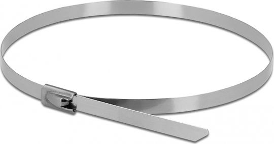 DeLock DeLock Metallic Cable Ties 400mm x 7.9mm in Silver Colour (10 pcs) 18773