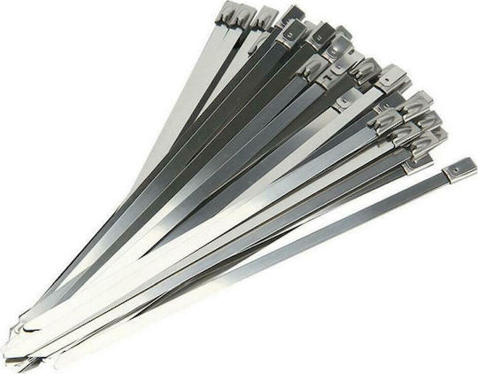 SAS Δεματικά Καλωδίων Πλαστικά 300mmx4.6mm σε Ασημί χρώμα (10τμχ) (100-06-002)