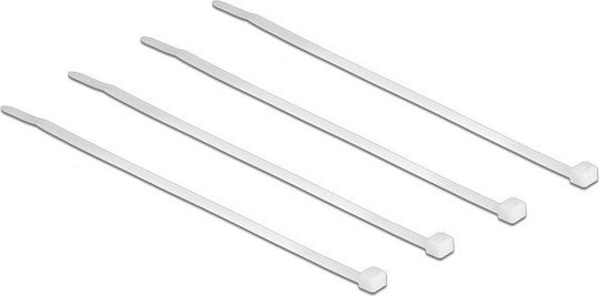 DeLock Δεματικά Καλωδίων Πλαστικά 100mmx2.5mm σε Διάφανο χρώμα (100τμχ) (18605)