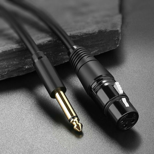 Ugreen AV131 XLR female to 6.3mm male 2m Cable (20719)
