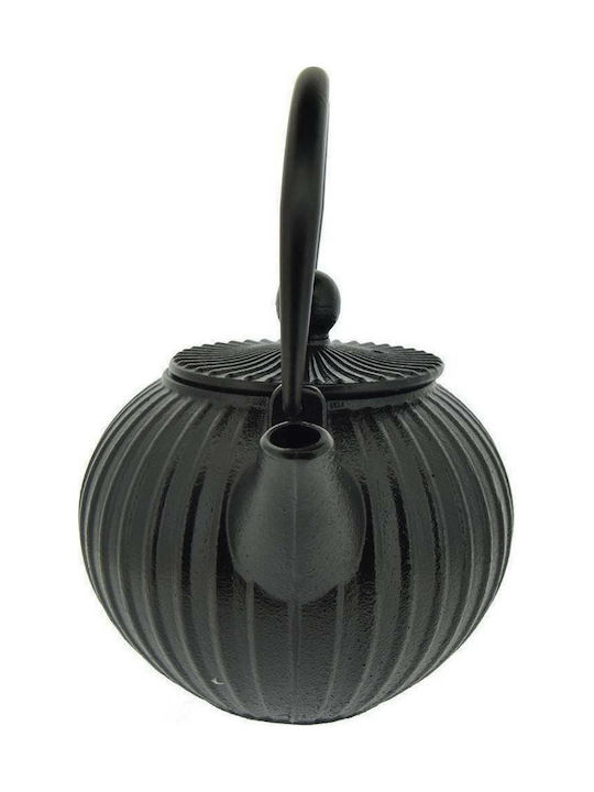 Dinox Teapot with Filter Cast Iron Black 500ml