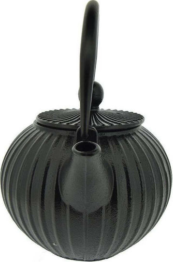 Dinox Teapot with Filter Cast Iron Black 500ml