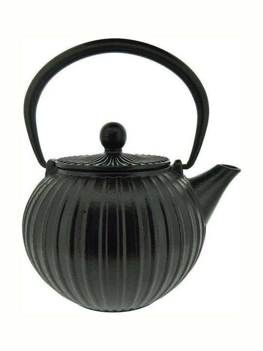 Dinox Teapot with Filter Cast Iron Black 500ml