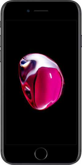 Apple iPhone 7 Single SIM (2/32GB) Negru | Skroutz Romania