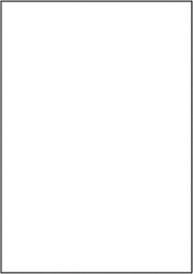 Sorex 100 Αυτοκόλλητες Ετικέτες Α4 Ορθογώνιες 210x297mm